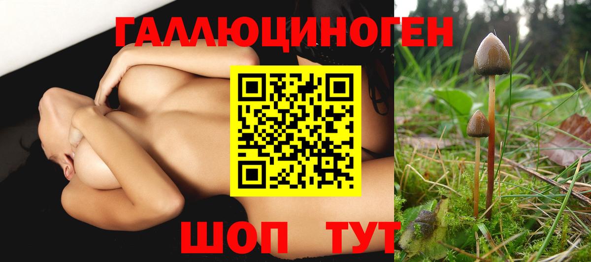 Галлюциногенные грибы мухоморы  магазин  наркотиков  Выборг  Вход с VPN  Галлюциногенные грибы GOLDEN TEACHER 