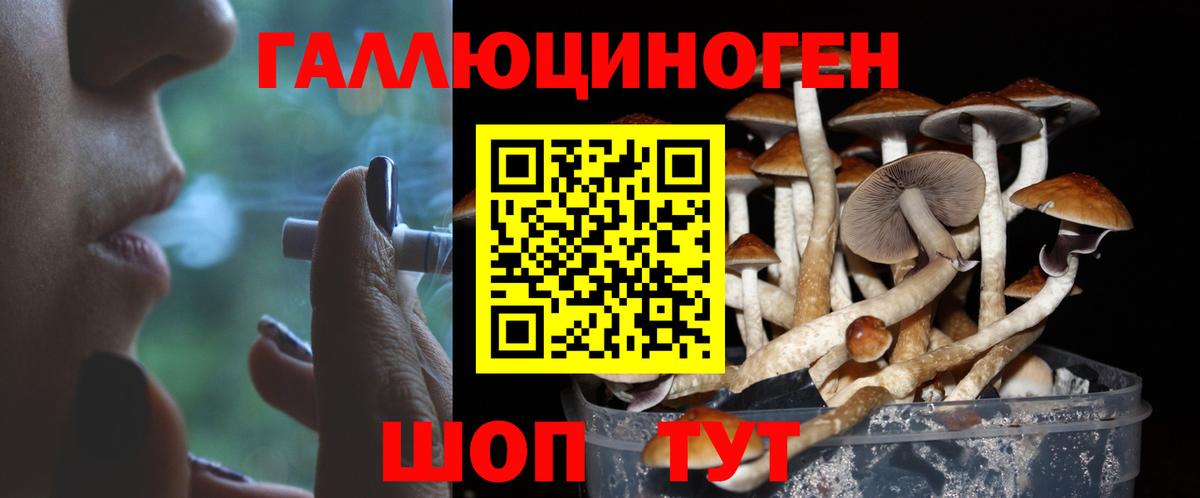 Галлюциногенные грибы GOLDEN TEACHER Выборг